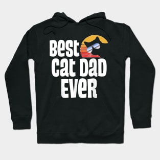 Best Cat Dad Ever! Funny Father Day Retro Sunset Design Hoodie